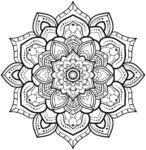 71mP5q1cJqL._AC_SL1500_