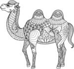 71irR0T+9rL._AC_SL1500_