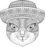 71irR0T+9rL._AC_SL1500_