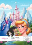 CINDERELLA COVER