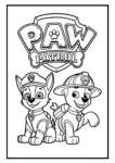 paw patrol cover