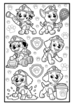 paw patrol cover