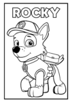 paw patrol cover