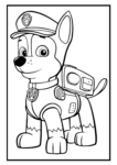 paw patrol cover